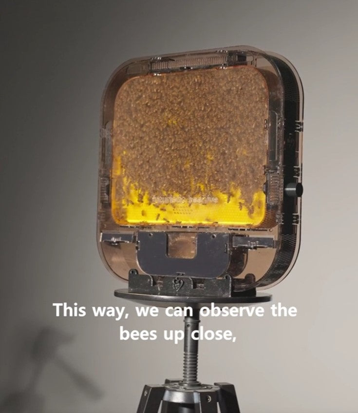 Load video: Describe the video for customers using screen readers