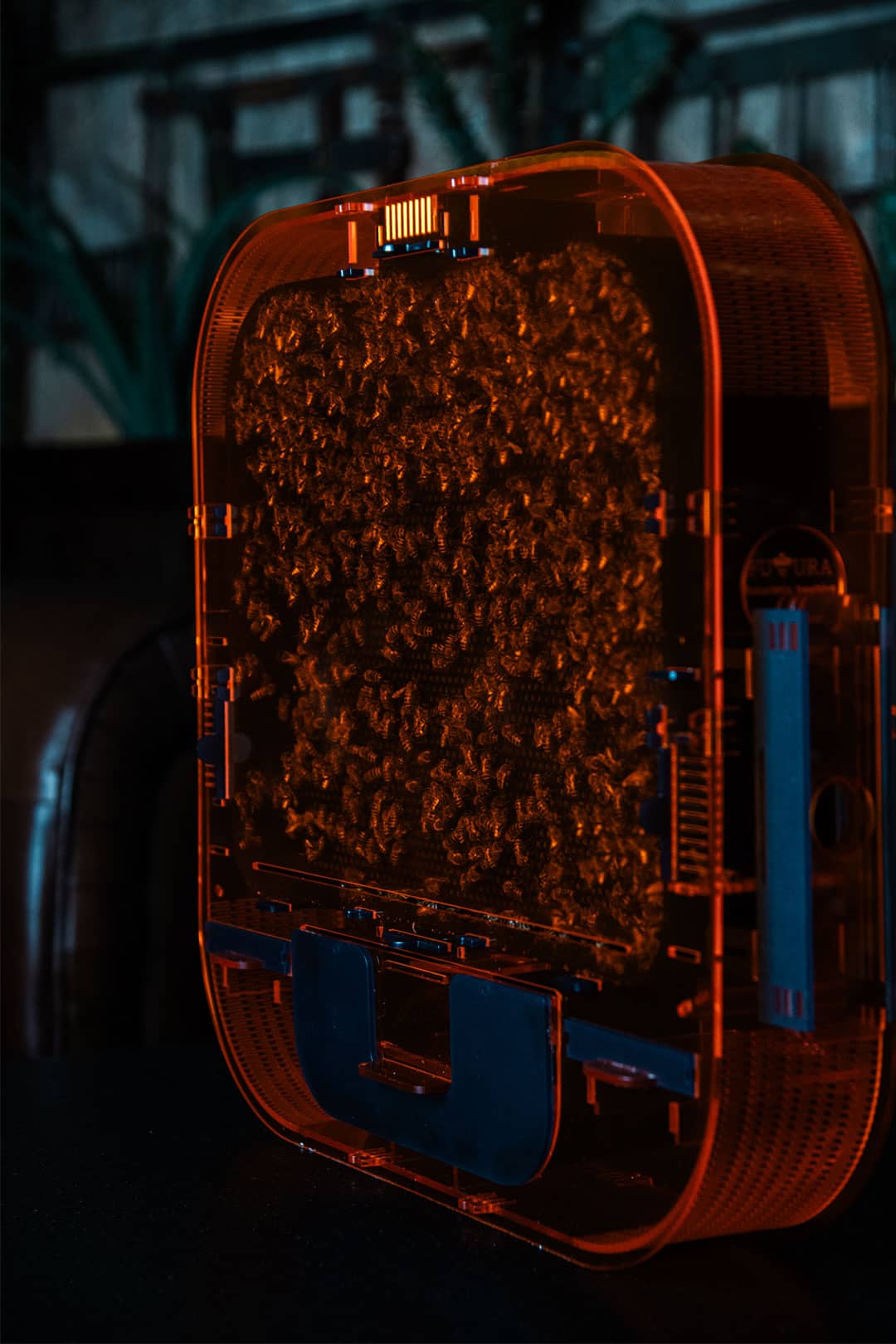 Futura 3024 - next generation indoor beehive